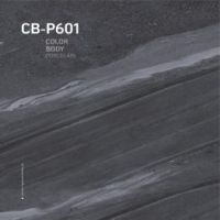 CB - P601